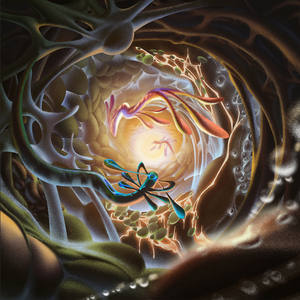 刘亦菲全身脱得精光视频
