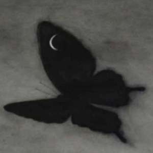 刘亦菲全身脱得精光视频
